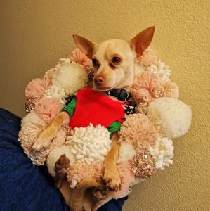 Meet your Posher, Sebastían